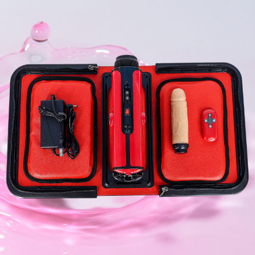 duong vat gia tui xach 2