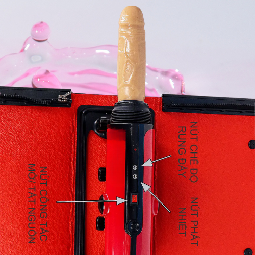 duong vat gia tui xach 3